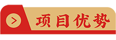 項(xiàng)目優(yōu)點(diǎn)